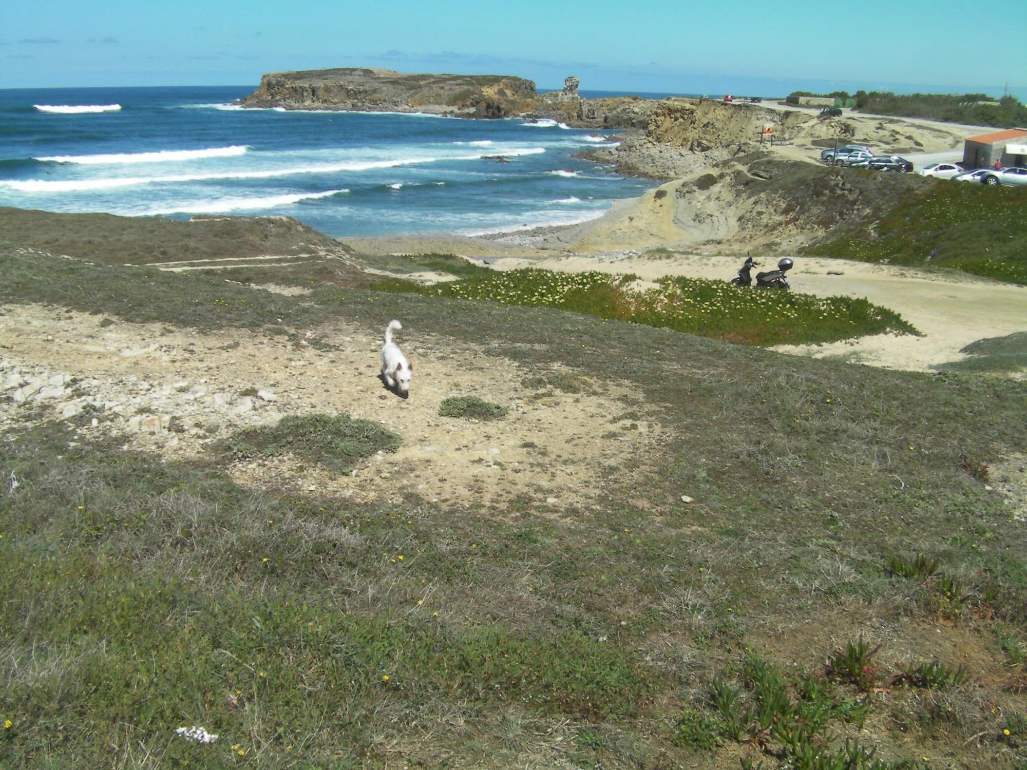 Peniche Surf Lodge 1 Exterior foto